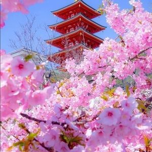 Meet your Posher, Bea